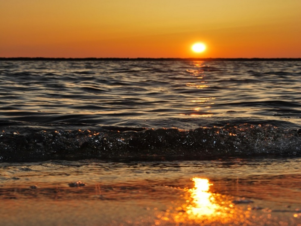 cubaneros-speed-boats